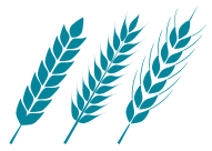 Getreide-Sorten