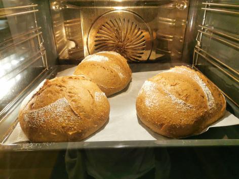 Brot aufbacken oder regenerieren