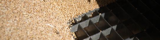 Kundenbereich mit Rezepten und Zertifikaten